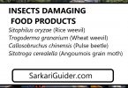 INSECTS DAMAGING FOOD PRODUCTS