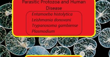 Parasitic Protozoa and Human Disease