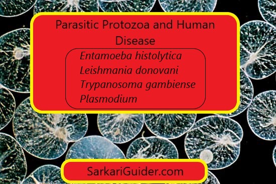 Parasitic Protozoa and Human Disease