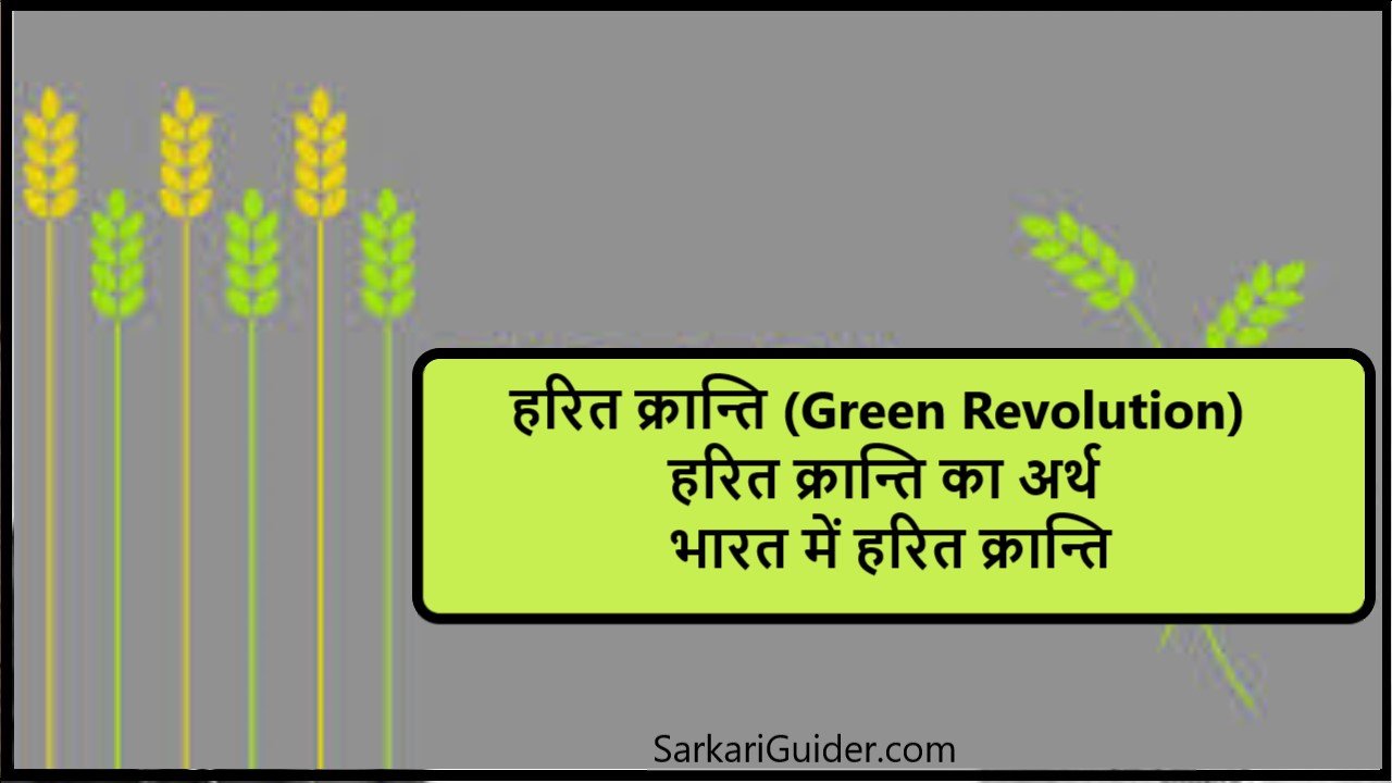 green revolution essay in hindi