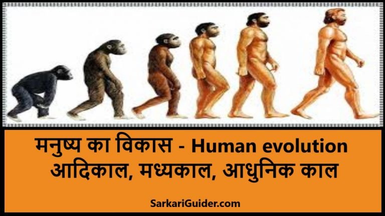 Human evolution